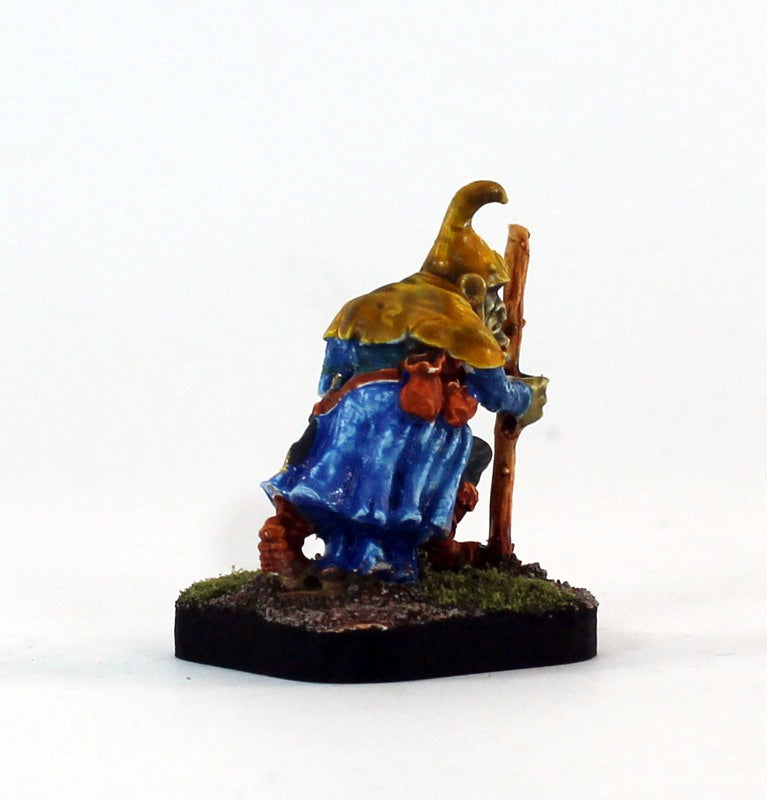 PTD 23910 Western Goblin Wizard (1)