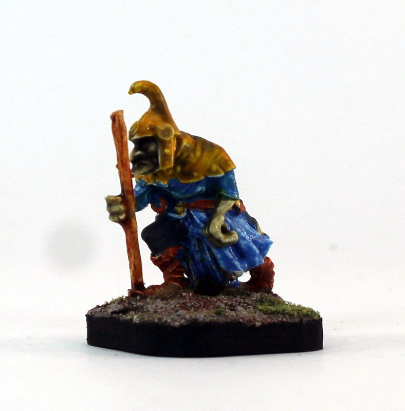 PTD 23910 Western Goblin Wizard (1)