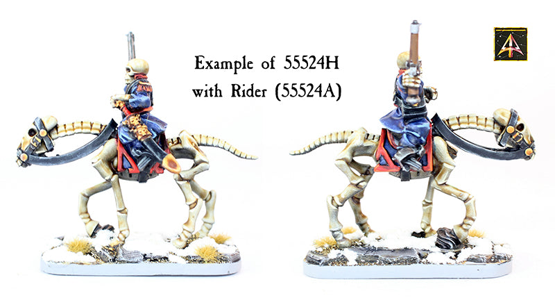 55524H Skeletal Horse for most riders
