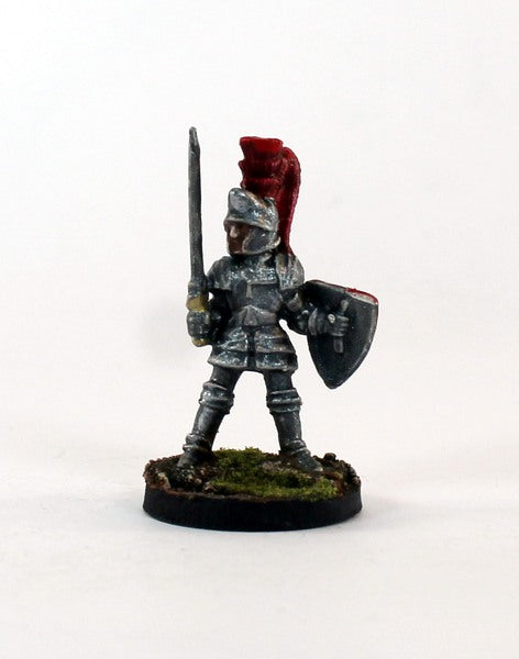 PTDCA4-01: A noble Knight in plumed helm and plate with Sword and Shield.
