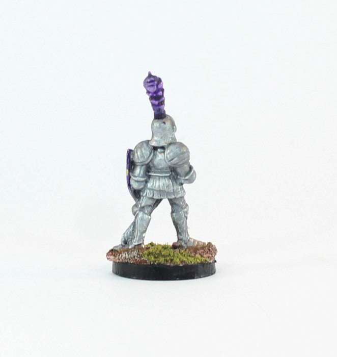 PTD FL15-03: Knight in plate with Sword and Shield