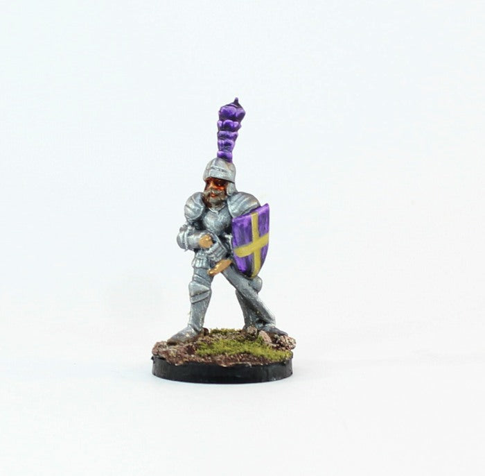 PTD FL15-03: Knight in plate with Sword and Shield