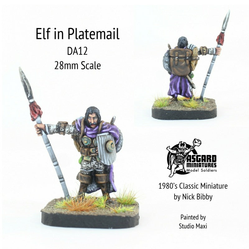 DA12 Elf in Plate Mail