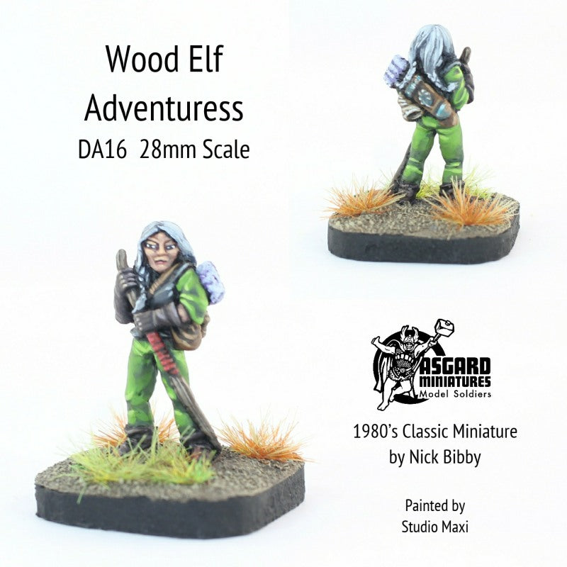 DA16 Wood Elf Adventuress