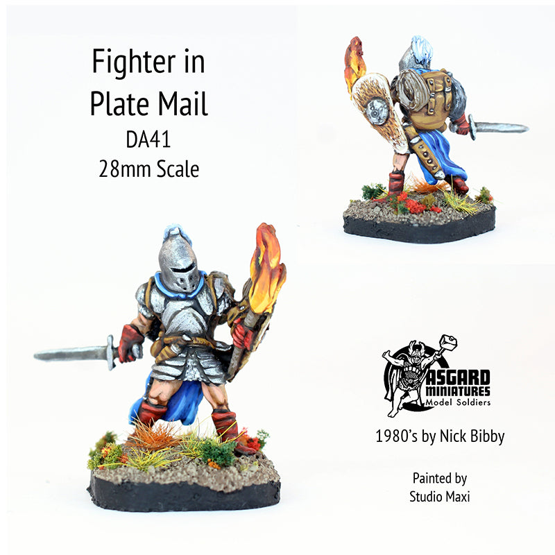 DA41 Fighter in Plate Mail