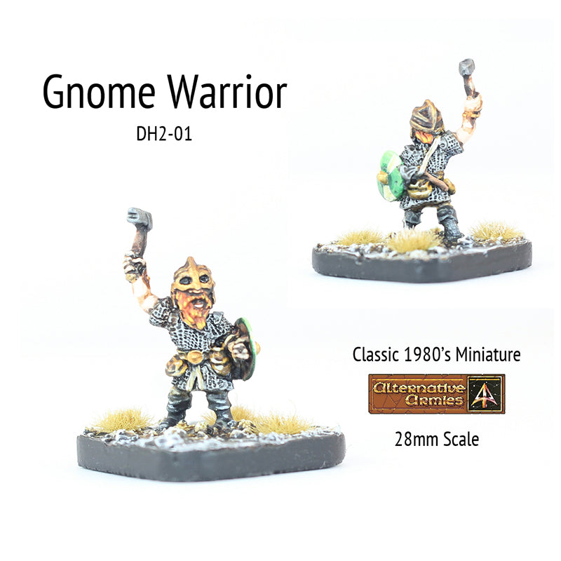 DH2-01 Gnome with Hammer and Shield