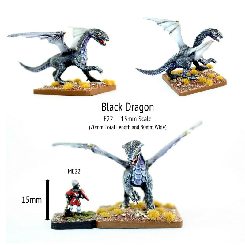 F22 Black Dragon (80mm long)
