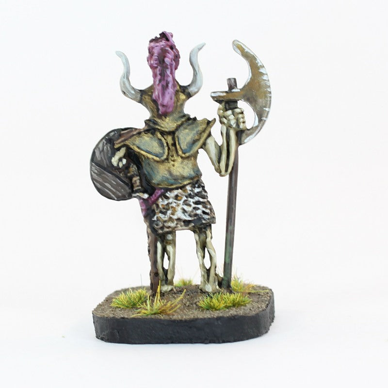 FM32B Elite Skeleton Halberdier