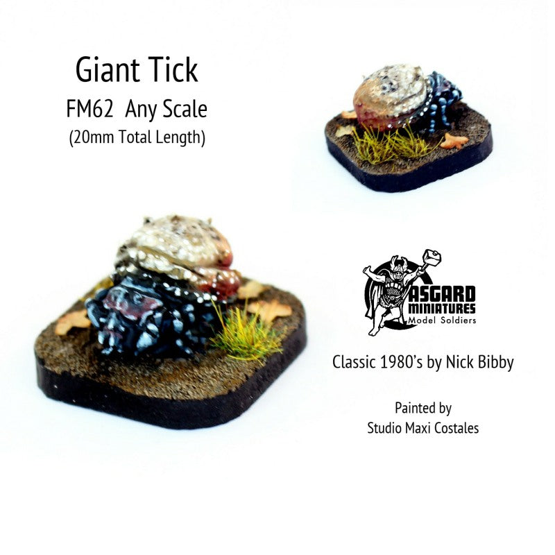 FM62 Tick
