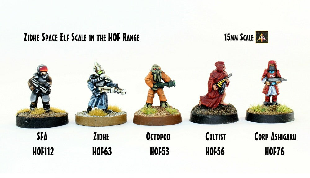 HOFP08 Zidhe Space Elf Platoon - Value Pack