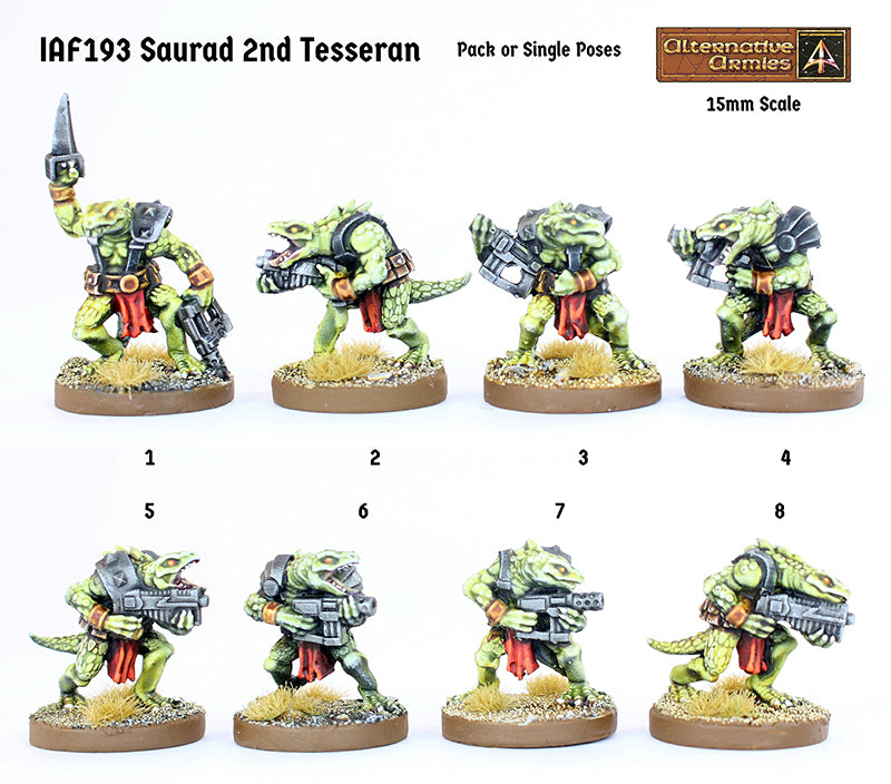 IAF193 Saurad 2nd Tesseran - Assault