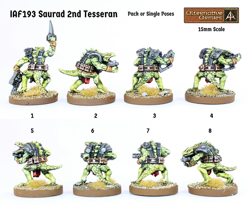 IAF193 Saurad 2nd Tesseran - Assault