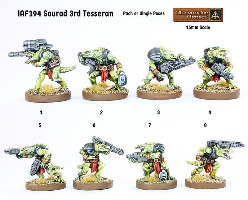 IAF194 Saurad 3rd Tesseran - Support