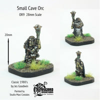 OR9 Small Cave Orc