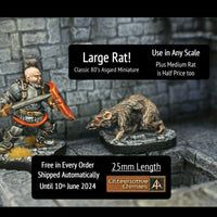 FM6 Large Rat (Any Scale) - Included free in all shipped orders until 10th June 2024