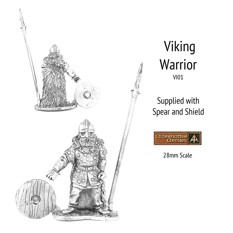 VI01 Viking Warrior