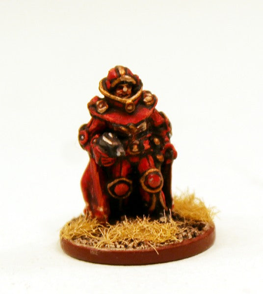 305 Senior Imperial Officer