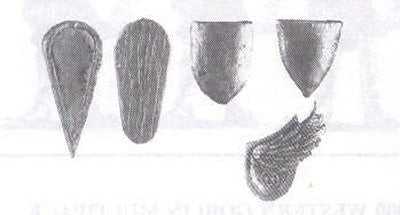 40001 Good Orientated Shields (Pack or Singles)