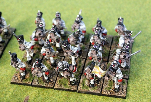 56601 Finklestein Dog Division - Save 15%