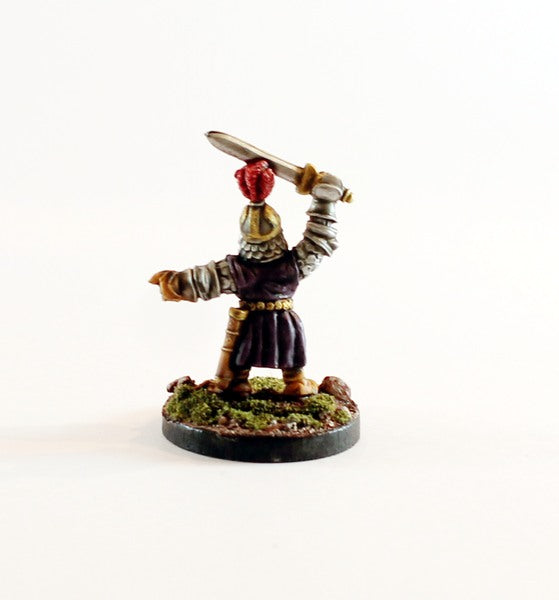 PTD 22000 Dwarf Hero with Sword & Shield (1)