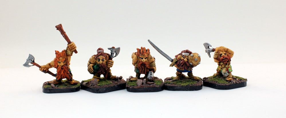 PTD DH13 Dwarf Beserkers (5)