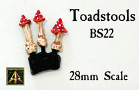 BS22 Toadstools