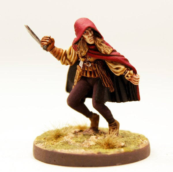 CE22 Elf Assassins