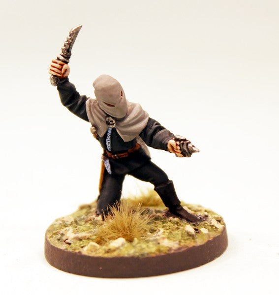 CE22 Elf Assassins