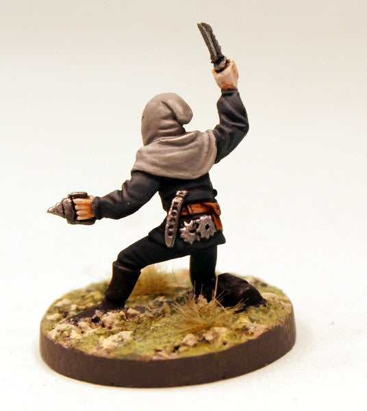 CE22 Elf Assassins