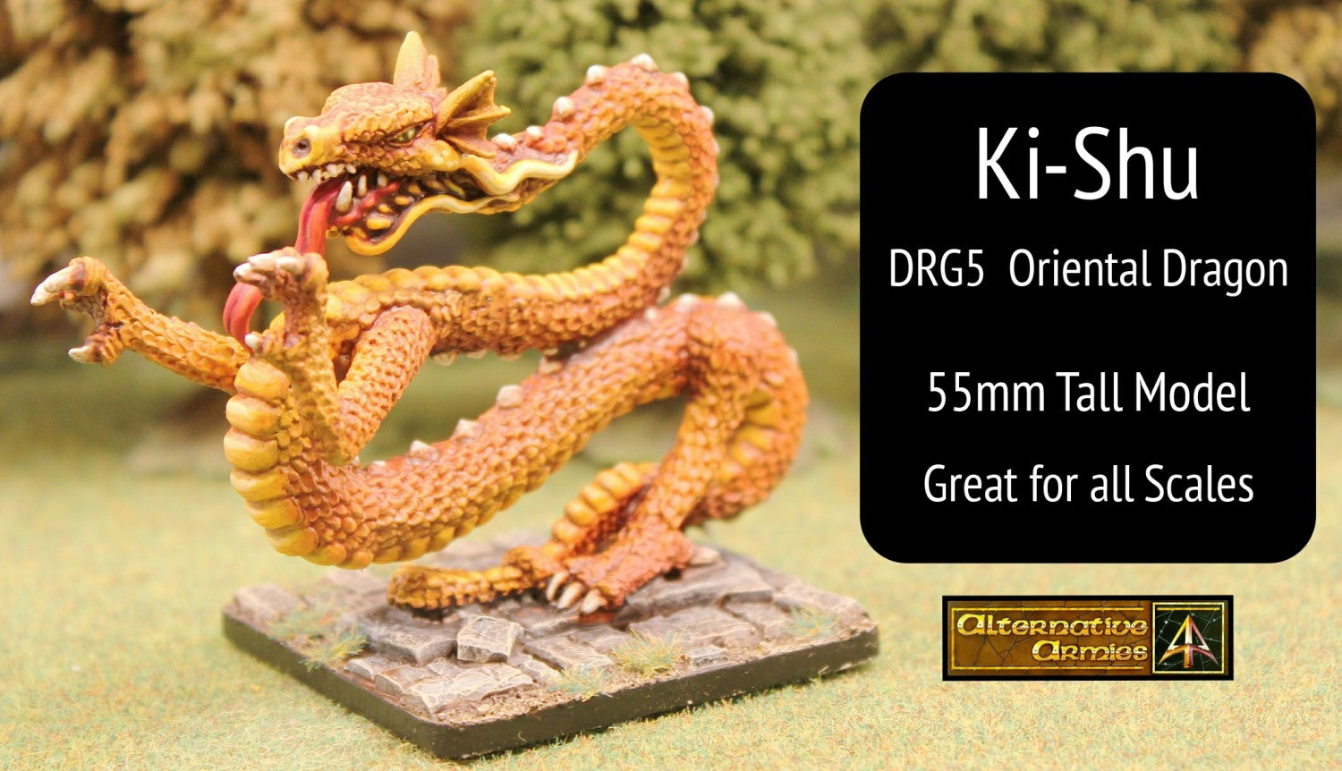 DRG5 Ki-Shu Oriental Dragon