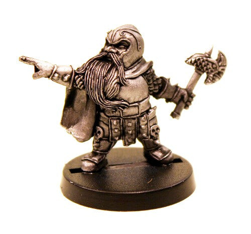DWM019 Dwarf Heavy Leader
