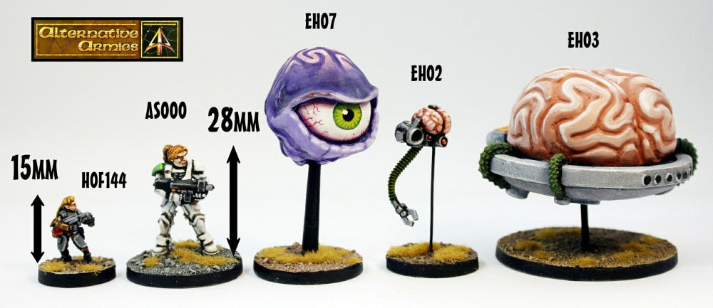 EH02 Big Space Brain