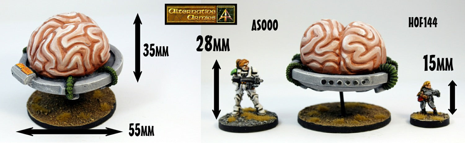 EH02 Big Space Brain