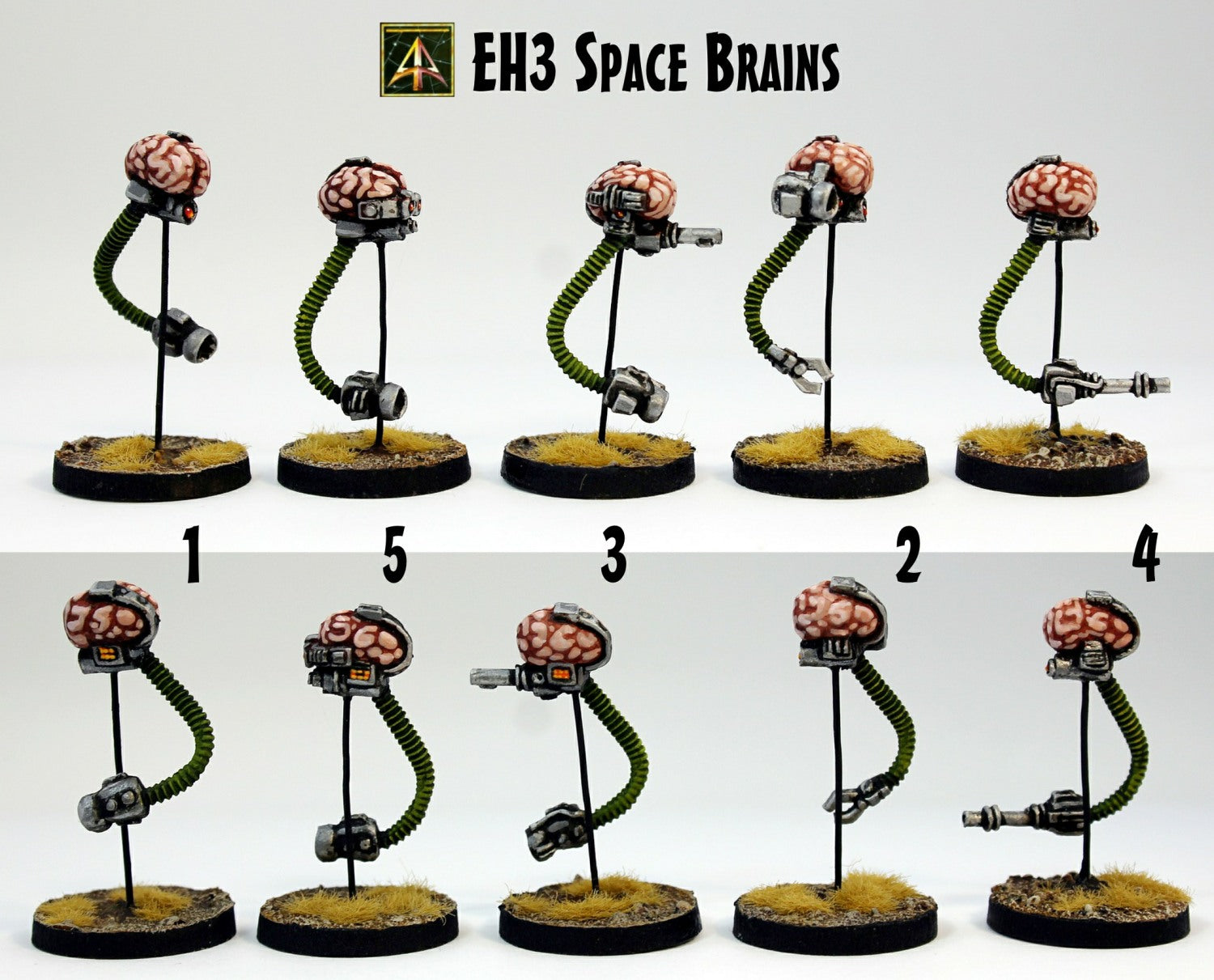 EH03 Space Brains (use in any scale)