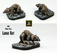 FM6 Large Rat (Any Scale) - Included free in all shipped orders until 10th June 2024