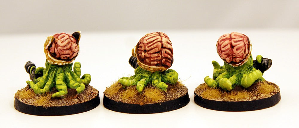 GRNP02 Zarglian Invaders (5)