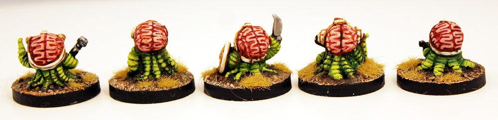 GRNP07 Zargling Squad (5)