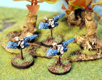 RAP009P Chuhuac Grav Bike Wing (9)