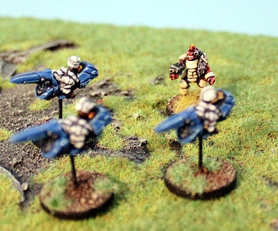 RAP009P Chuhuac Grav Bike Wing (9)