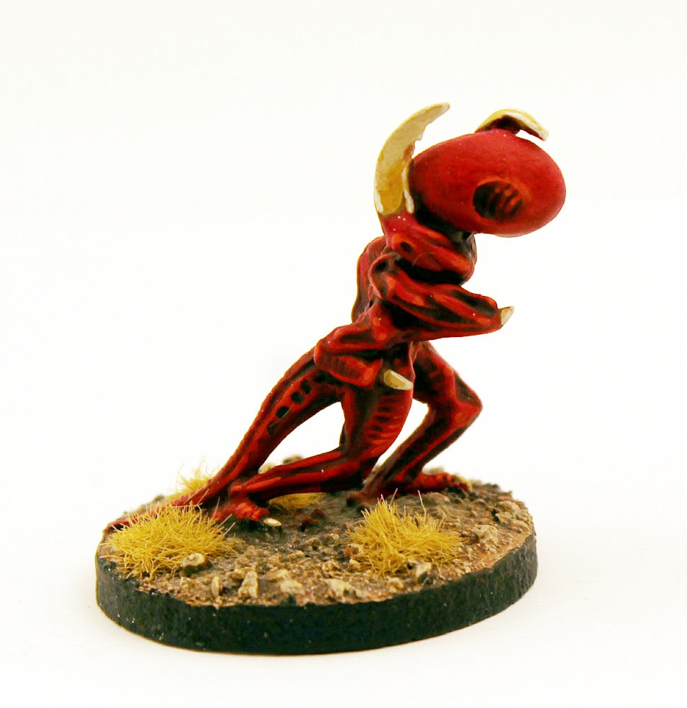 LSD1 Standard Warrior