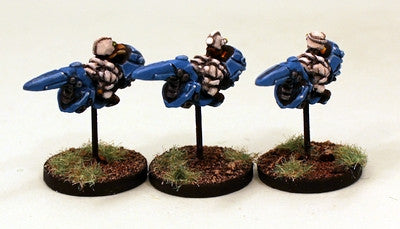 RAP009P Chuhuac Grav Bike Wing (9)