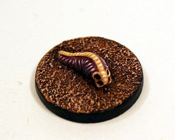 SHM58 Mollusca