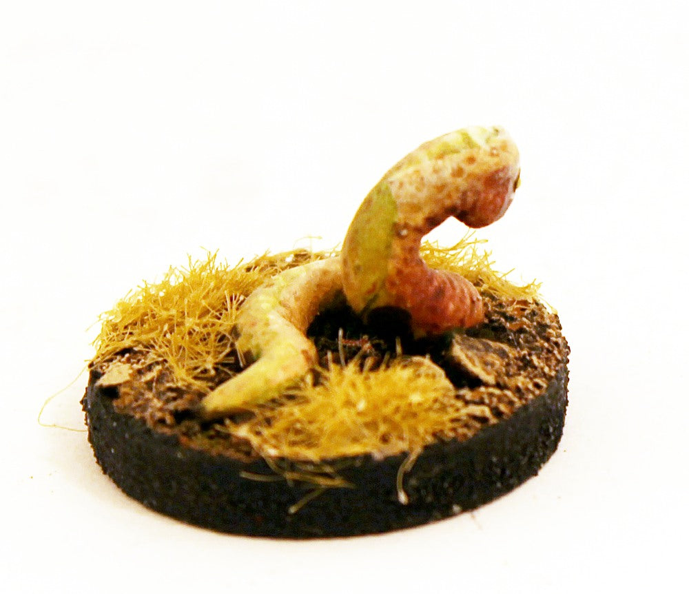 SHM74 Human Faced Helminth