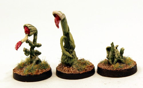 SHMP25 Triffic Killer Plants - Multi Choice Pack