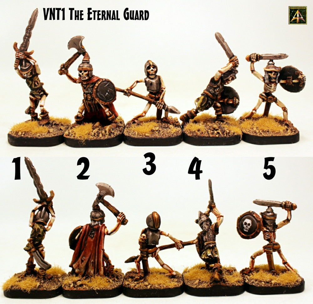 VNT1 The Eternal Guard