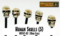 VNT47-03 Human Skulls (5) (One Sprue or Bundle of Ten with saving)