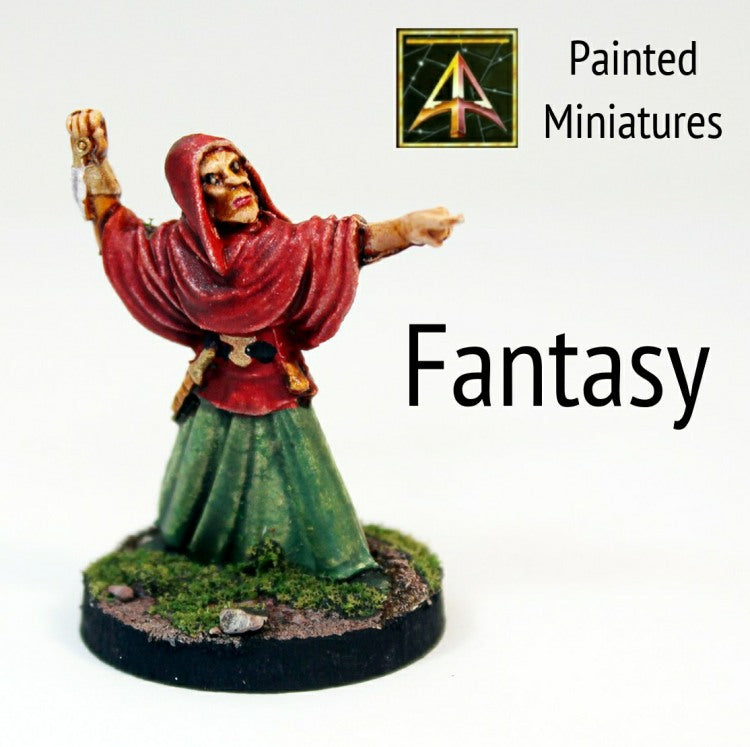 Painted Fantasy Miniatures