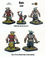 16100 Ogres (Pack of Two or Single Miniature)