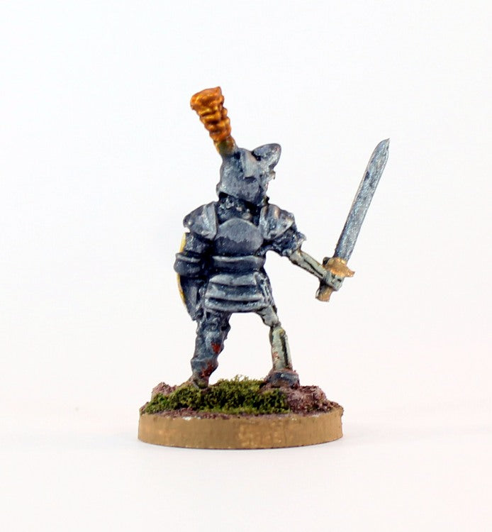 PTD VNT46-01: Knight in Plate Armour with Sword and Shield - Skeleton (1)