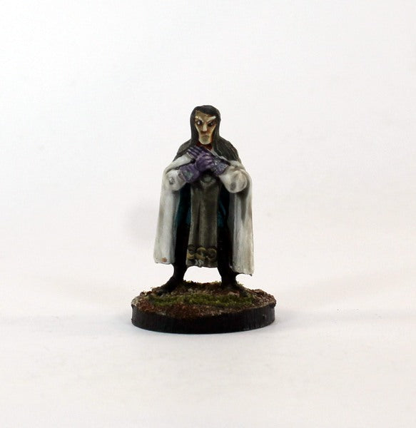 PTD CE22-04 Elf Assassin plotting